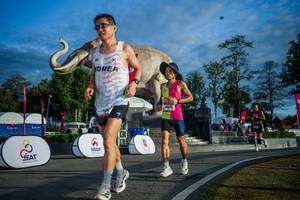 BIB: 
                            <button type="button" onclick="openModal(26541545)" class="btn btn-primary btn-sm float-right btn-popup" data-toggle="modal" data-target=".modal-high-quality">
                        <i class="fas fa-shopping-cart"></i> Add to Cart
                    </button>
                                            <button type="button" onclick="isThisMe(26541545, true)" class="btn btn-success btn-sm float-right btn-popup btn-isme hidden" data-toggle="tooltip" data-placement="bottom" title="นี่คือรูปของคุณใช่ไหม คลิกที่นี่เพื่อเอาเข้าอัลบั้ม">
                        <i class="fas fa-plus"></i> Add to album
                    </button>
                    <button type="button" onclick="isThisMe(26541545, false)" class="btn btn-warning btn-sm float-right btn-popup btn-isnotme hidden">
                        <i class="fas fa-ban"></i> Remove from album
                    </button>